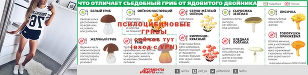 гашик Аркадак