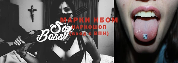 гашик Аркадак