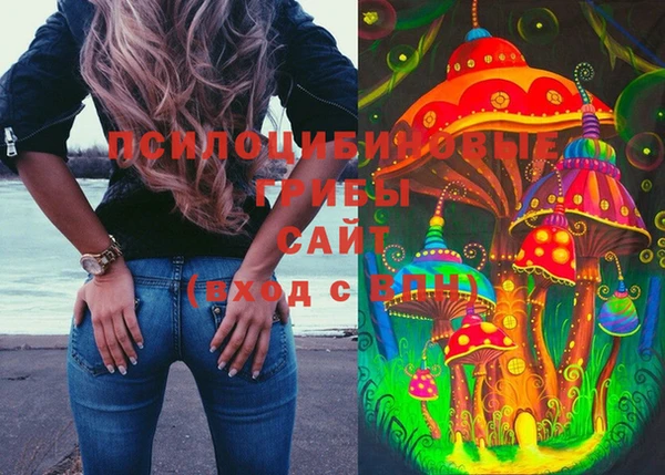 гашик Аркадак