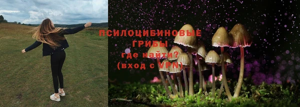 гашик Аркадак