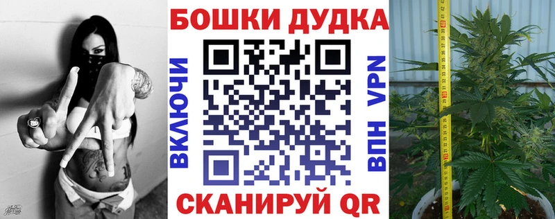 Шишки марихуана VHQ  даркнет сайт  Нововоронеж 